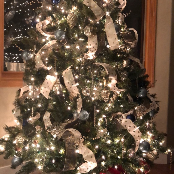 Meet your Posher, Adam - Picture 1 of 1